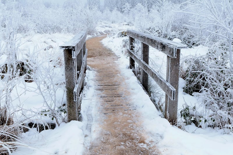 Stellar Pathways